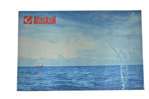 Наклейка-тестер поляризации Alaskan фото 2