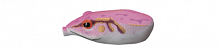 Лягушка Potofu Baby 53мм. 9,7гр. №04