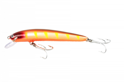 Воблер Nils Master INVINCIВLE Floating 12cm, 24 г., #041