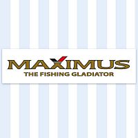 Наклейки Maximus бел/пл. 210х50мм
