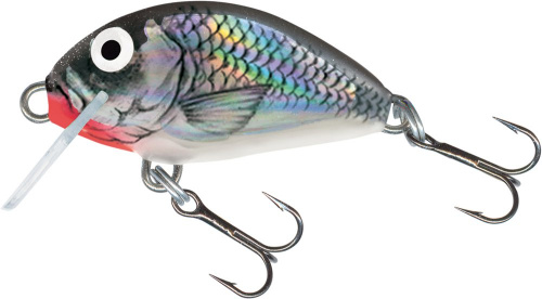 Воблер тонущий Salmo TINY S 03/HGS