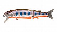 Воблер Составной Strike Pro Glider 105, цвет: A142-264 Arctic Char, (EG-157-SP#A142-264)