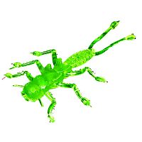 Резина Microkiller веснянка 35мм, зеленый флюо, 8шт в уп.
