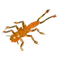 Резина Microkiller веснянка 35мм, оранжевый флюо, 8шт в уп.