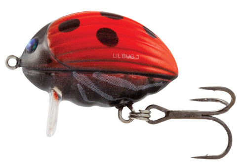 Воблер плавающий Salmo LIL BUG F 03/LB фото 2