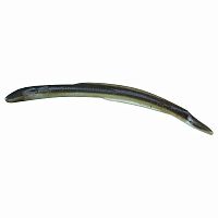 Силикон Gulp! Alive Swimming Eel 8" 20cm 10шт - Smelt