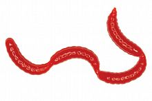 Мягк.приманки LureMax MAGGOT 0,5''/1см LSMG05B-019 Blood Red (банка)