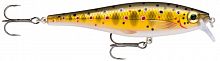 Воблер RAPALA BX Minnow 10 /TR