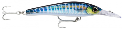 Воблер RAPALA X-Rap Magnum Xtreme 160 /HDWHU
